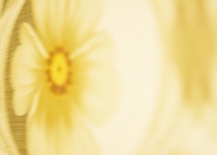 fotoraum14.jpg