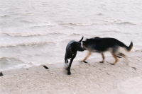 f1000006.jpg